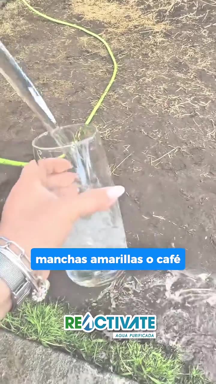 Filtros Reactívate