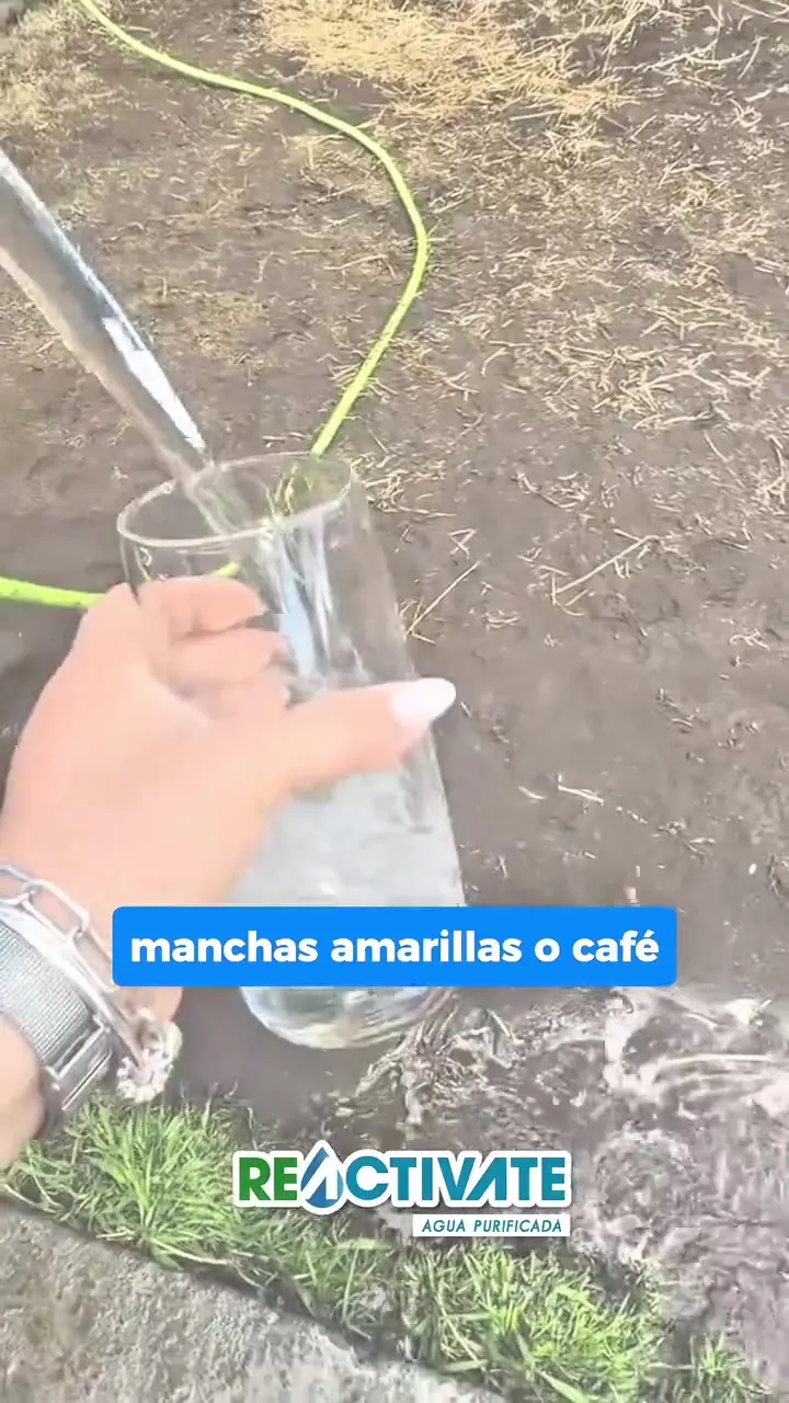 Filtros Reactívate