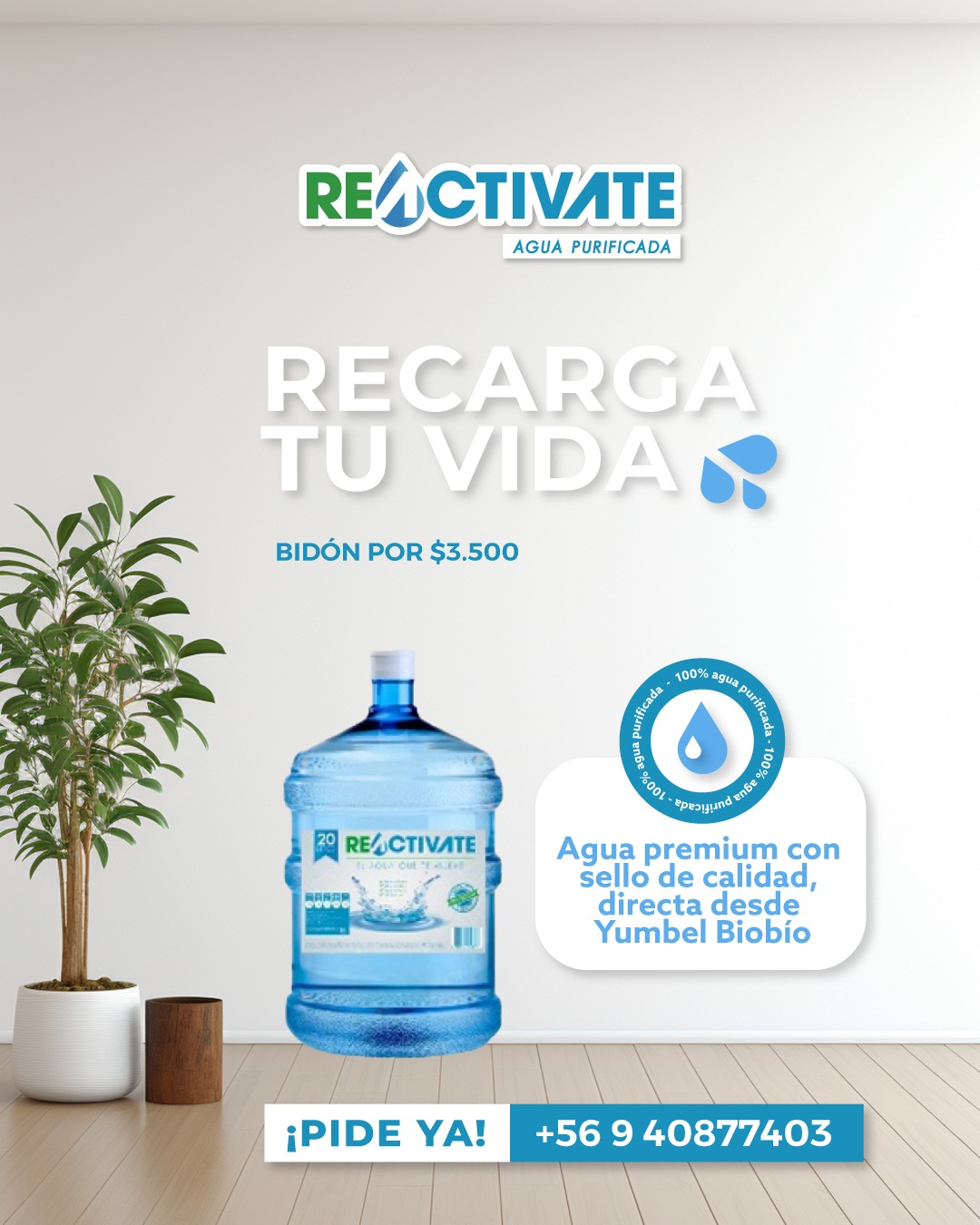 Recarga tu vida con Agua Reactívate