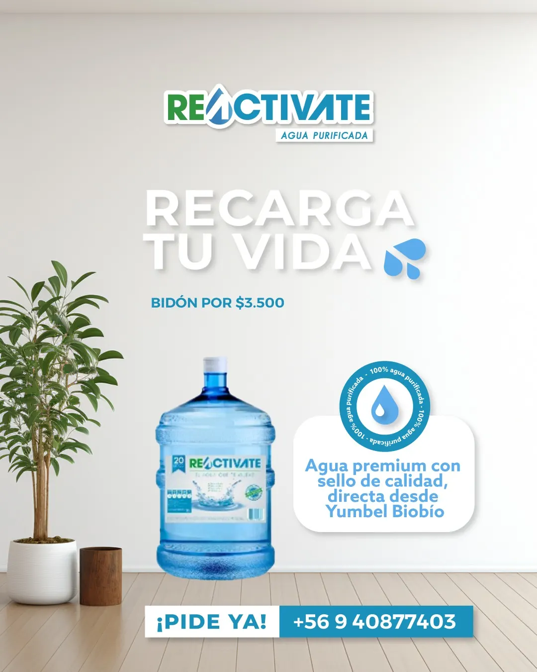 Recarga tu vida con Agua Reactívate